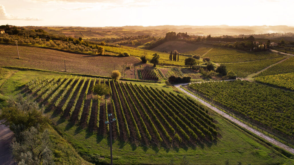 chianti 1024x575