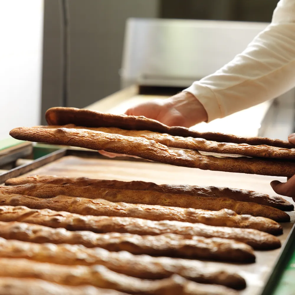 변하지 않는 레시피