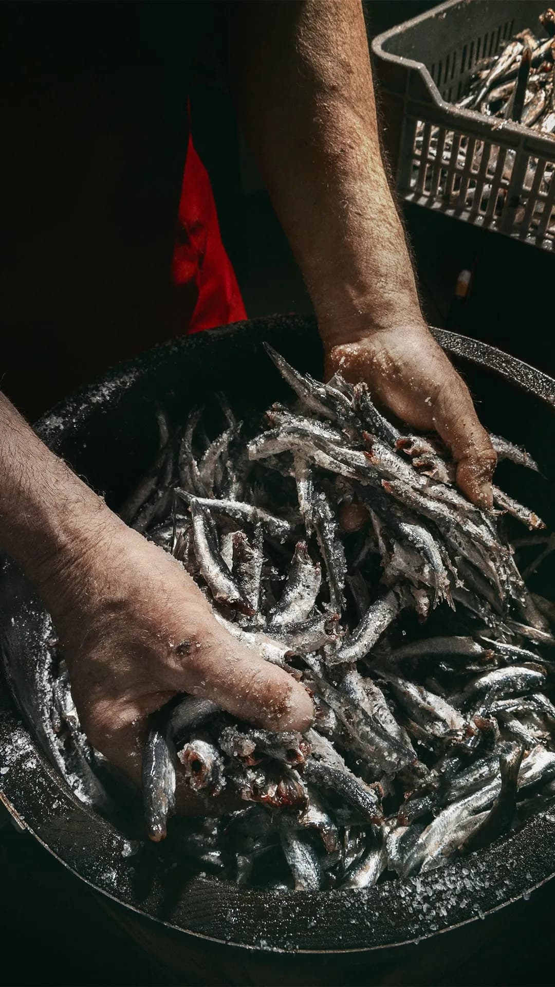 엔초비 가공 과정