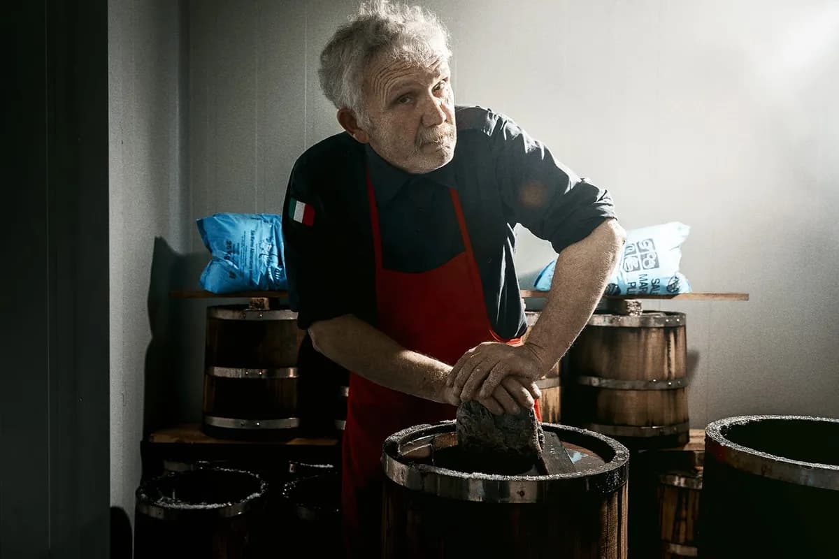 밤나무 통 숙성