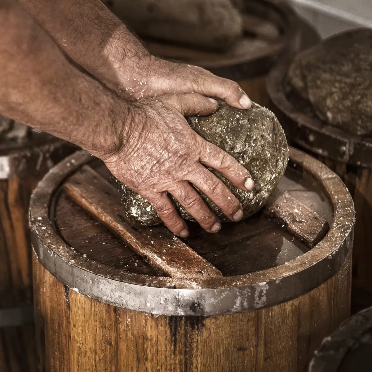 밤나무 통 숙성