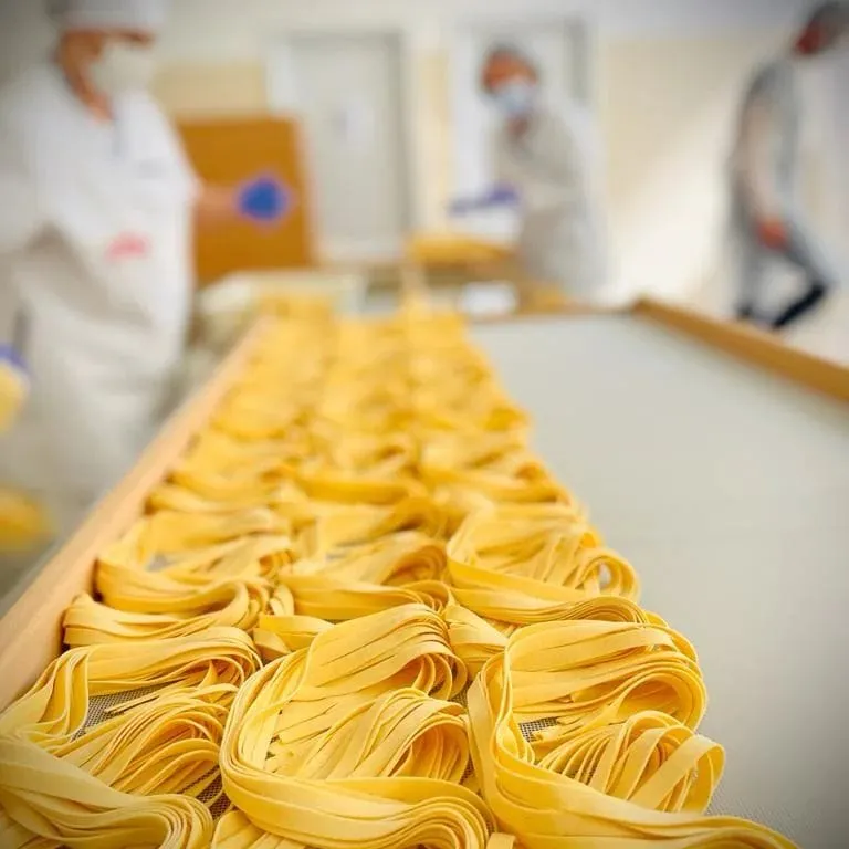 카포니 면 건조 작업