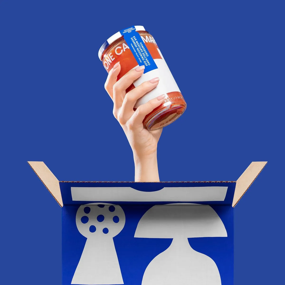 Casa Marrazzo 브랜드