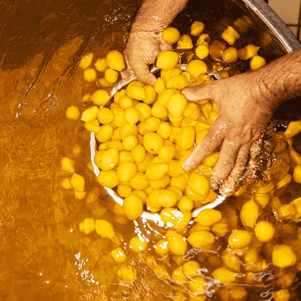 Casa Marrazzo 제품