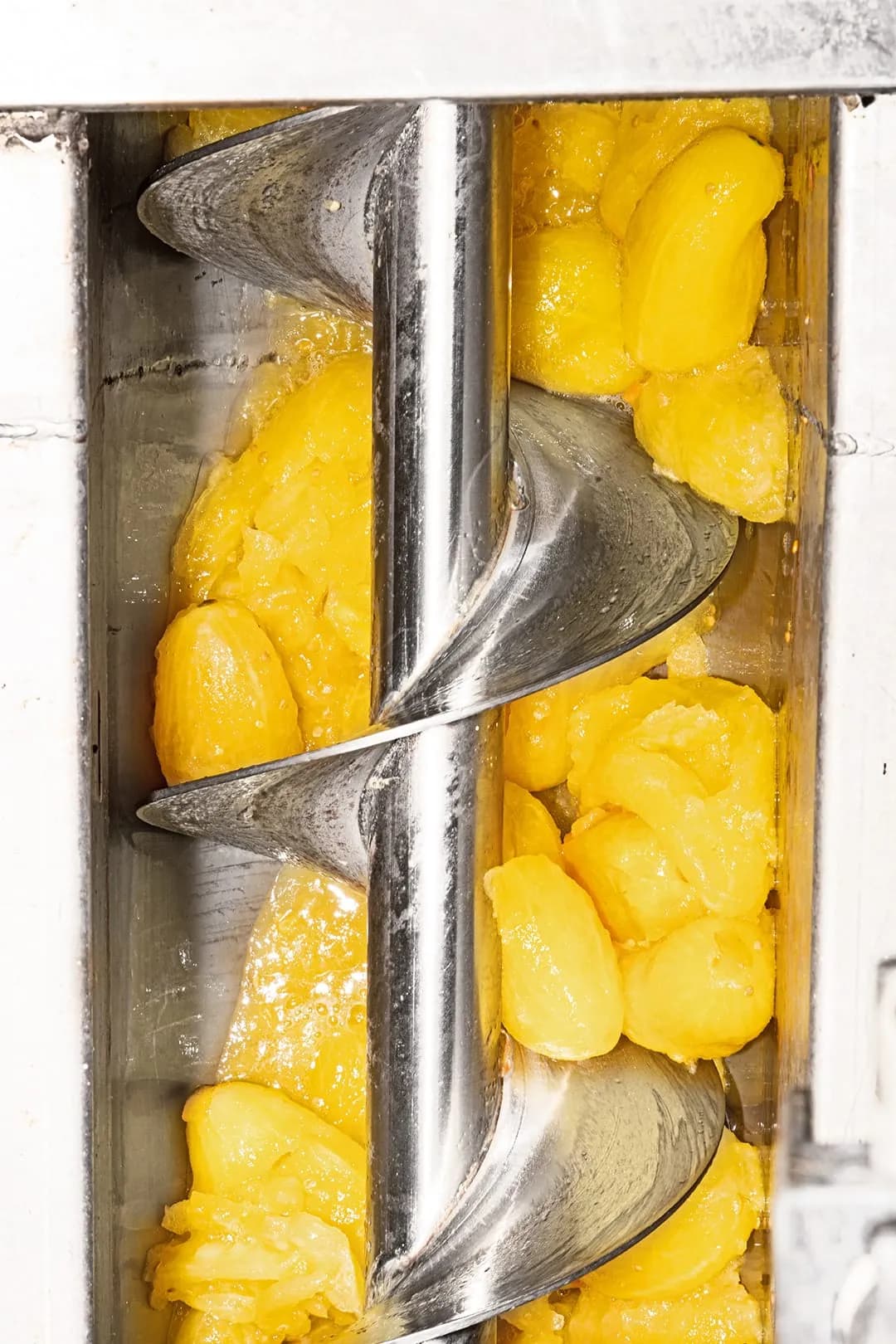 Casa Marrazzo 제품