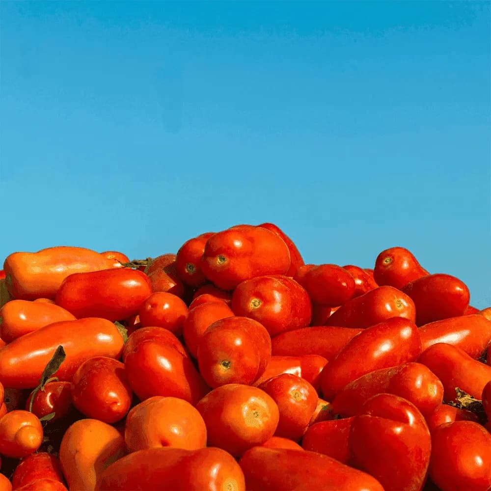 껍질을 벗긴 홀 또는 반으로 자른 형태