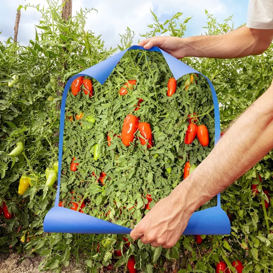 지정된 자연 농업 방식으로 재배