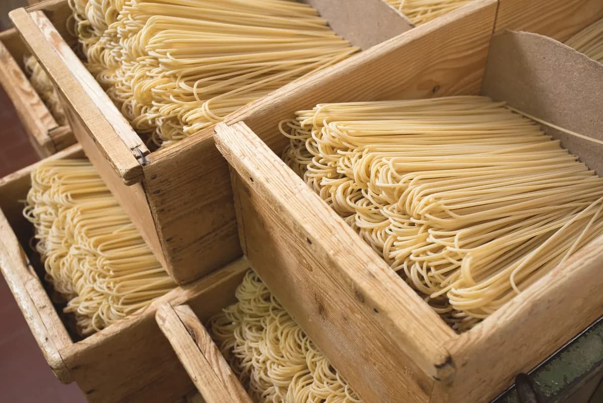 50 Hours for a Spaghetti