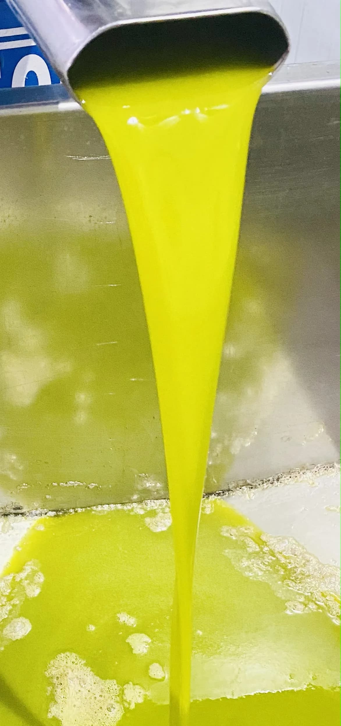 갓 추출된 올리브오일