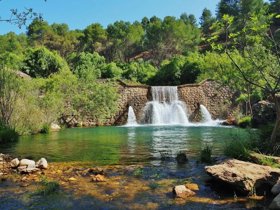 올리브 농장 전경