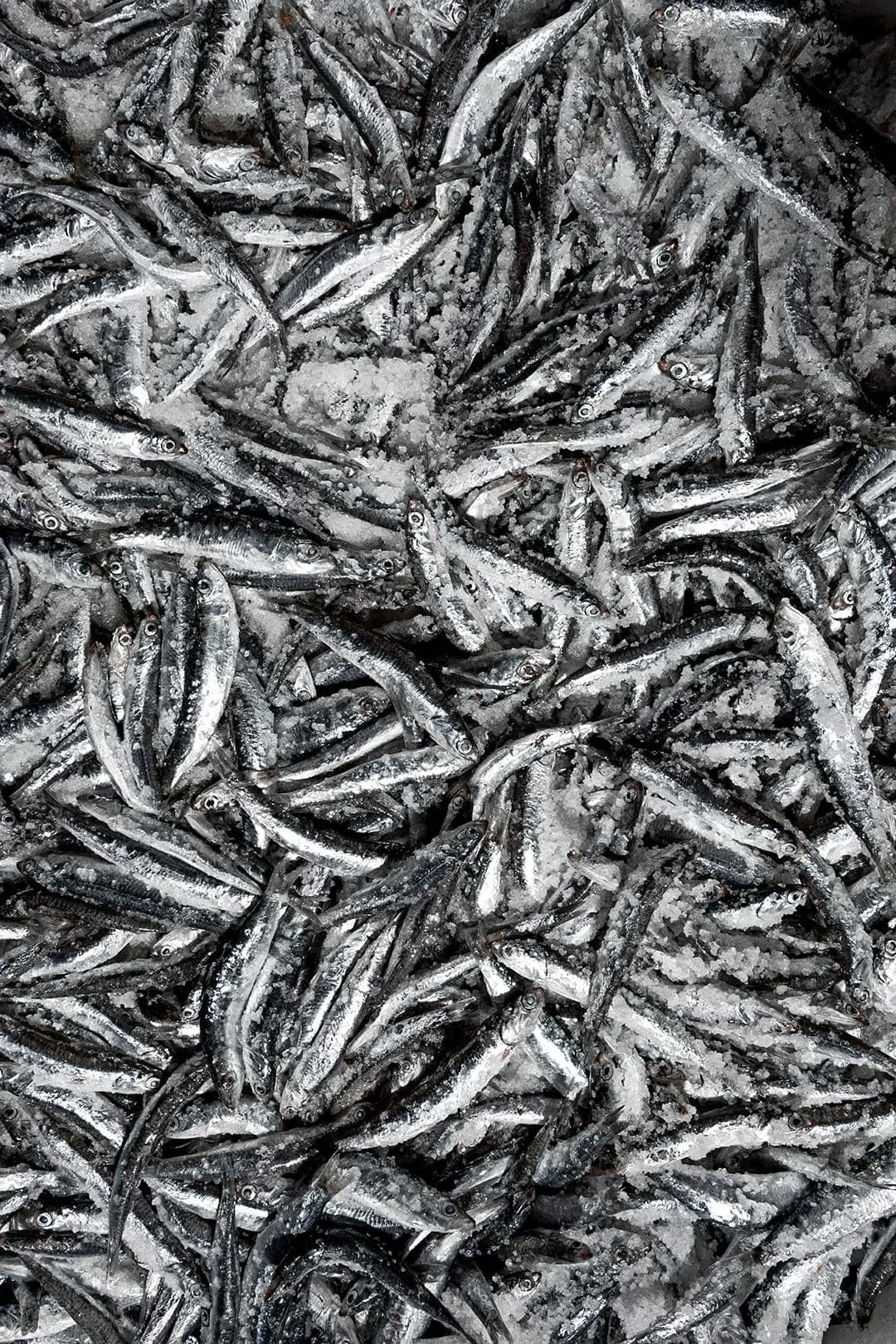 아말피 해안 체타라