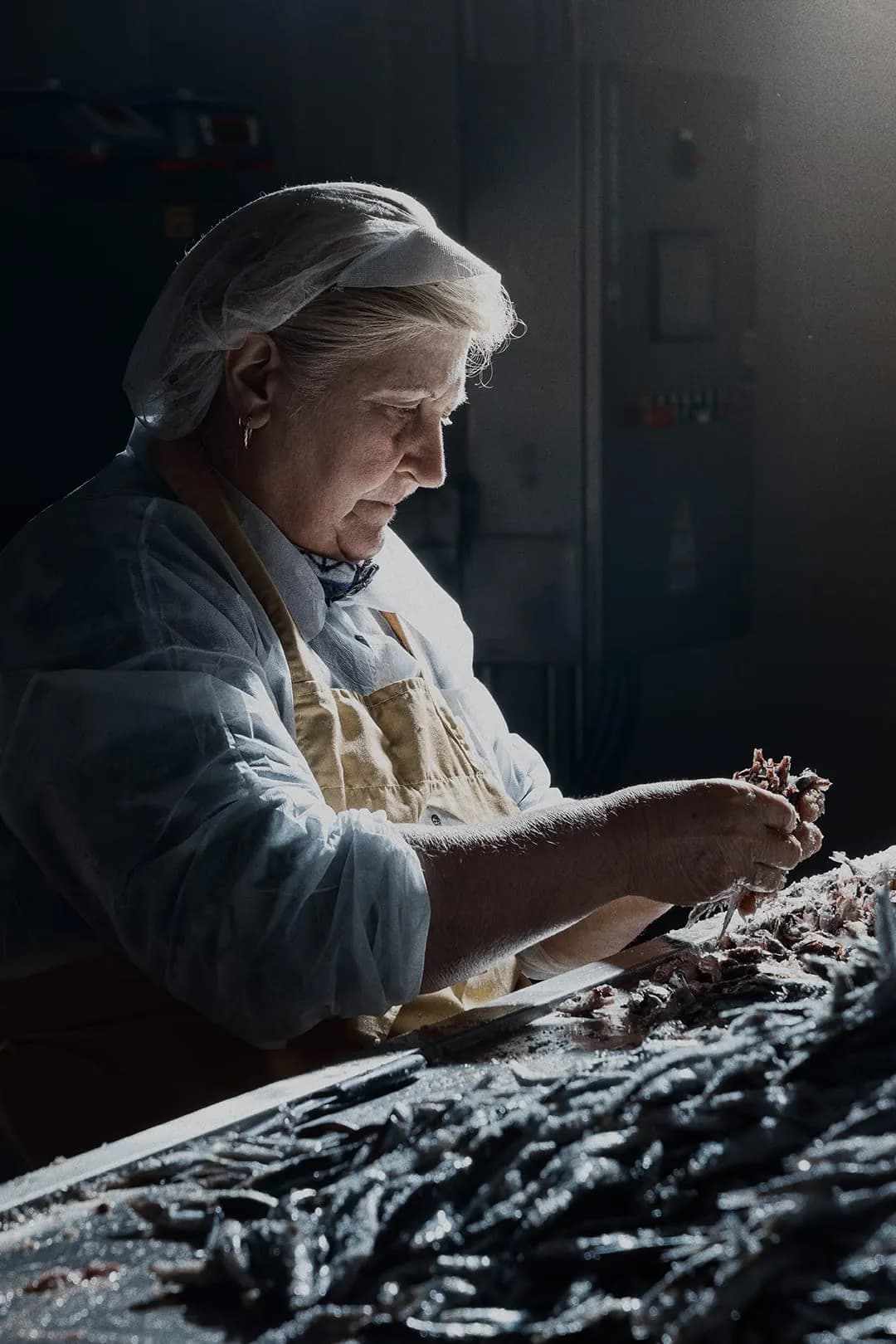 노테 델레 람파레