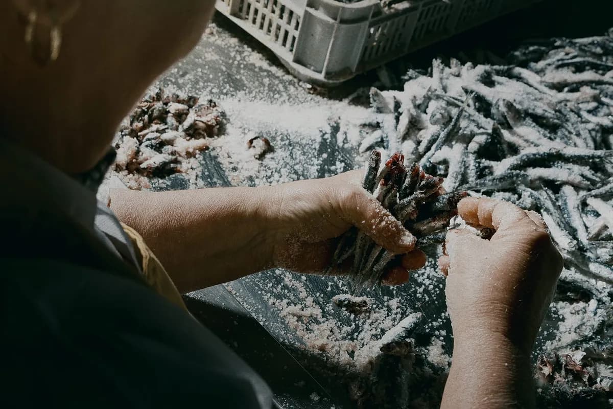 아르마토레 엔초비 필렛