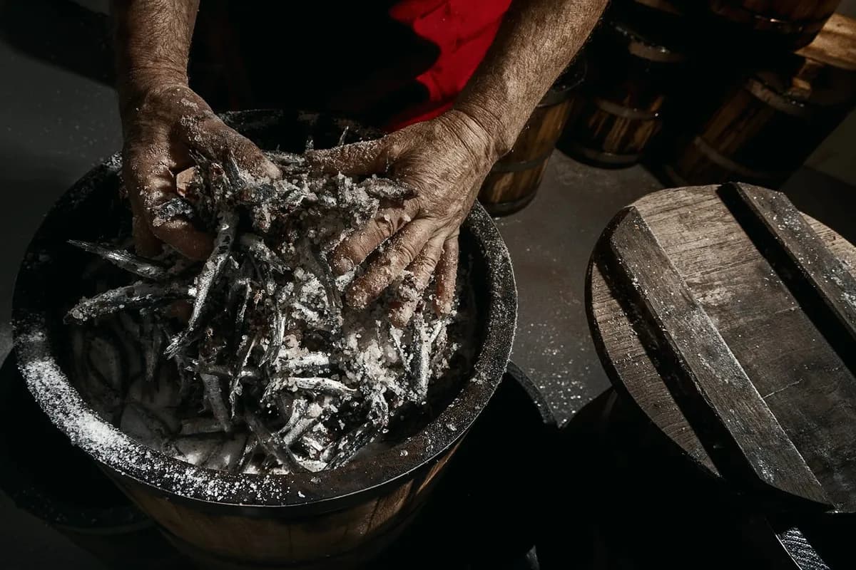 엔초비 가공 과정