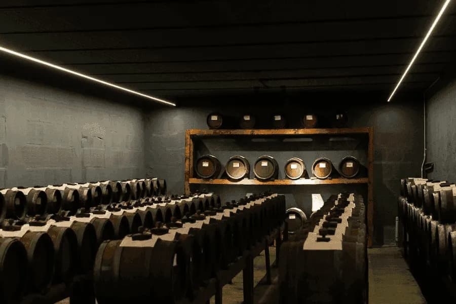 저장고 내부 전경