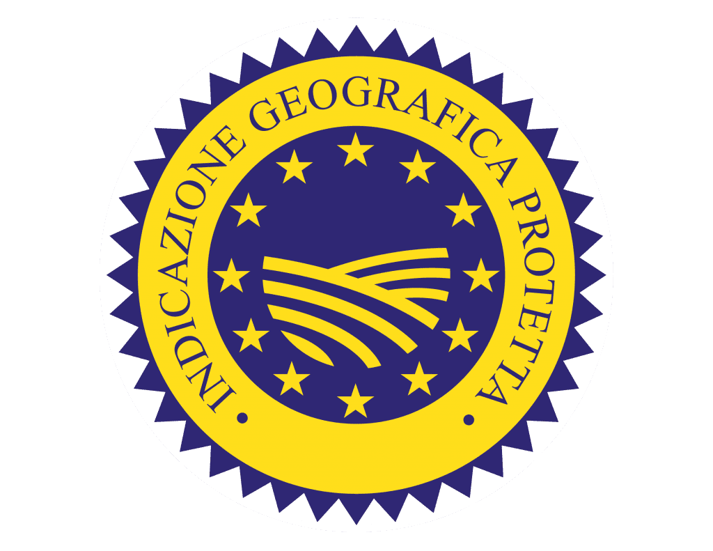 igp 1024x791